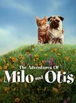 Adventures of Milo and Otis (Koneko monogatari) poster