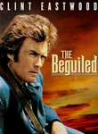 The Beguiled