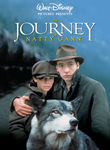 The Journey of Natty Gann
