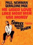 Sweet Bird of Youth