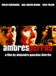 Amores Perros (2000)