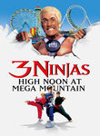 3 Ninjas: High Noon at Mega Mountain