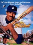 Mr. Baseball