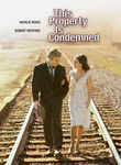 This Property Is Condemned