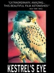 Kestrel's Eye