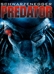 Predator