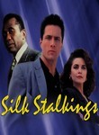 Silk Stalkings: Season 1