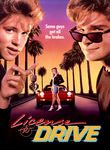 License to Drive
