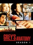 Grey's Anatomy: Season 1 (2-Disc Series)