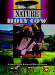 Nature: Holy Cow