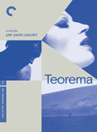 Theorem (Teorema) (1968) poster