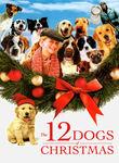 The 12 Dogs of Christmas