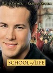 School of Life
