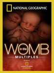 In the Womb: Multiples
