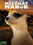 Meerkat Manor: Season 2