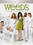 Weeds: Season 3: Disc 3