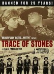 Traces of Stone