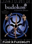 Budokon: Flow & Flexibility