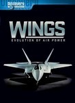 Wings of Defeat poster