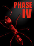 Phase IV