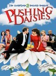 Pushing Daisies: Season 2 (4-Disc Series)