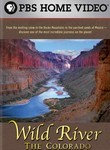 Wild River poster