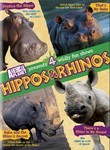 Hippos and Rhinos