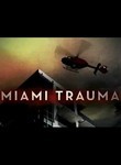 Miami Trauma: Season 1
