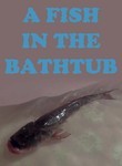 A Fish in the Bathtub