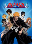 Bleach: Vol. 2: The Substitute