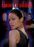 Gemini Division