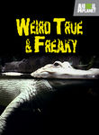 Weird, True & Freaky