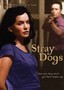 Stray Dogs