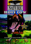 Nature: Holy Cow