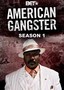American Gangster: Season 1