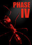Phase IV