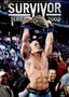 WWE: Survivor Series 2008